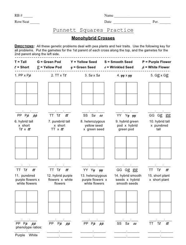 Understanding Punnett Squares