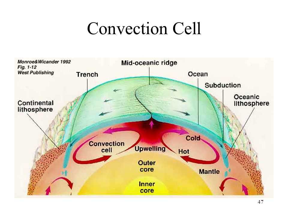 Convection cells gizmo answers