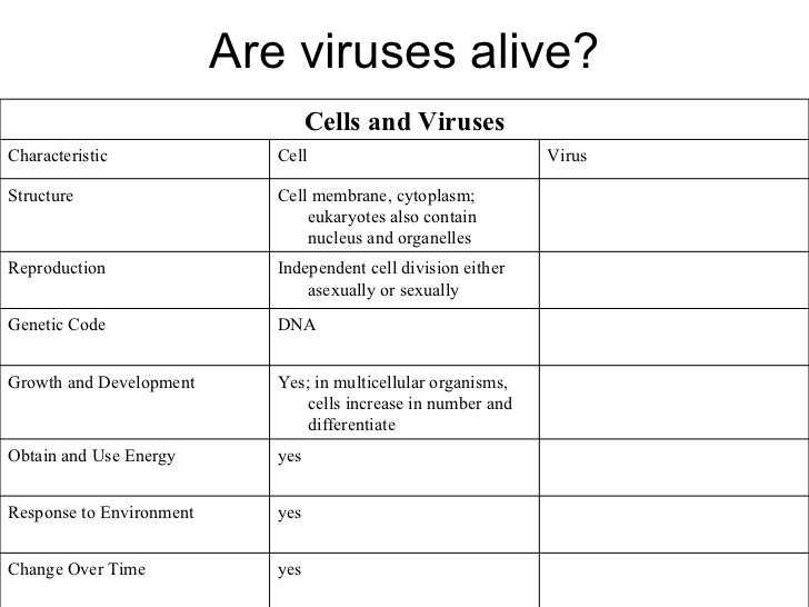 The Role of Viruses in Human Diseases