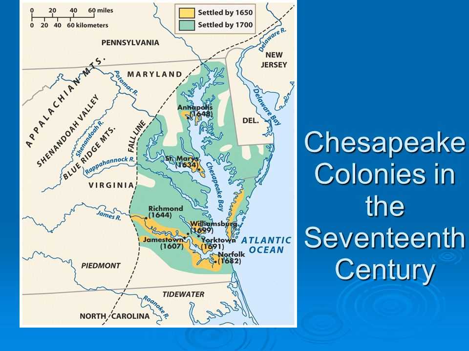 Chapter 4 life in the colonies answer key