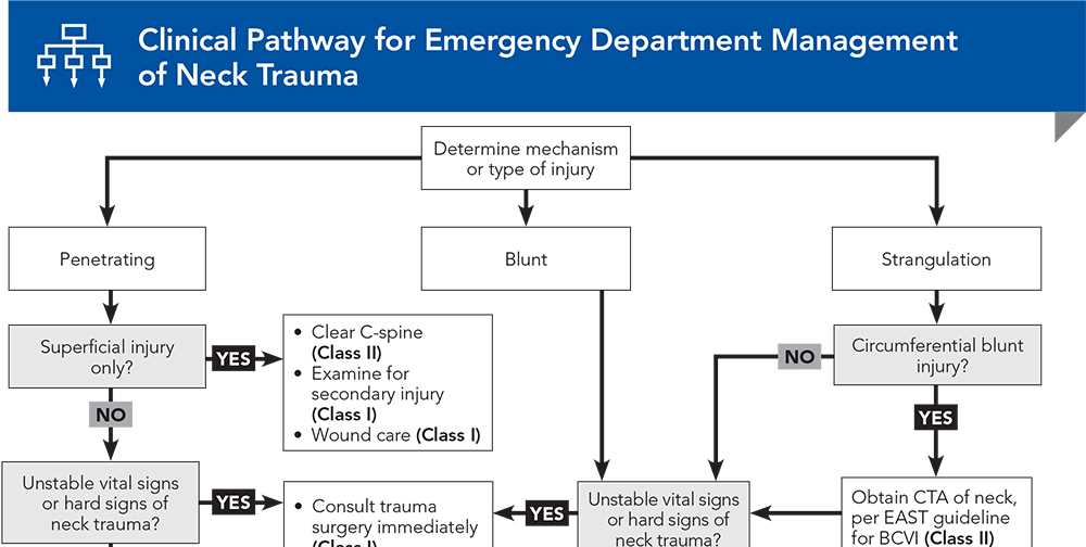 Prophecy emergency department rn b v1 answers