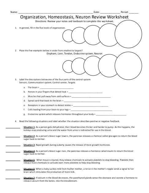 Human nature documentary worksheet answer key