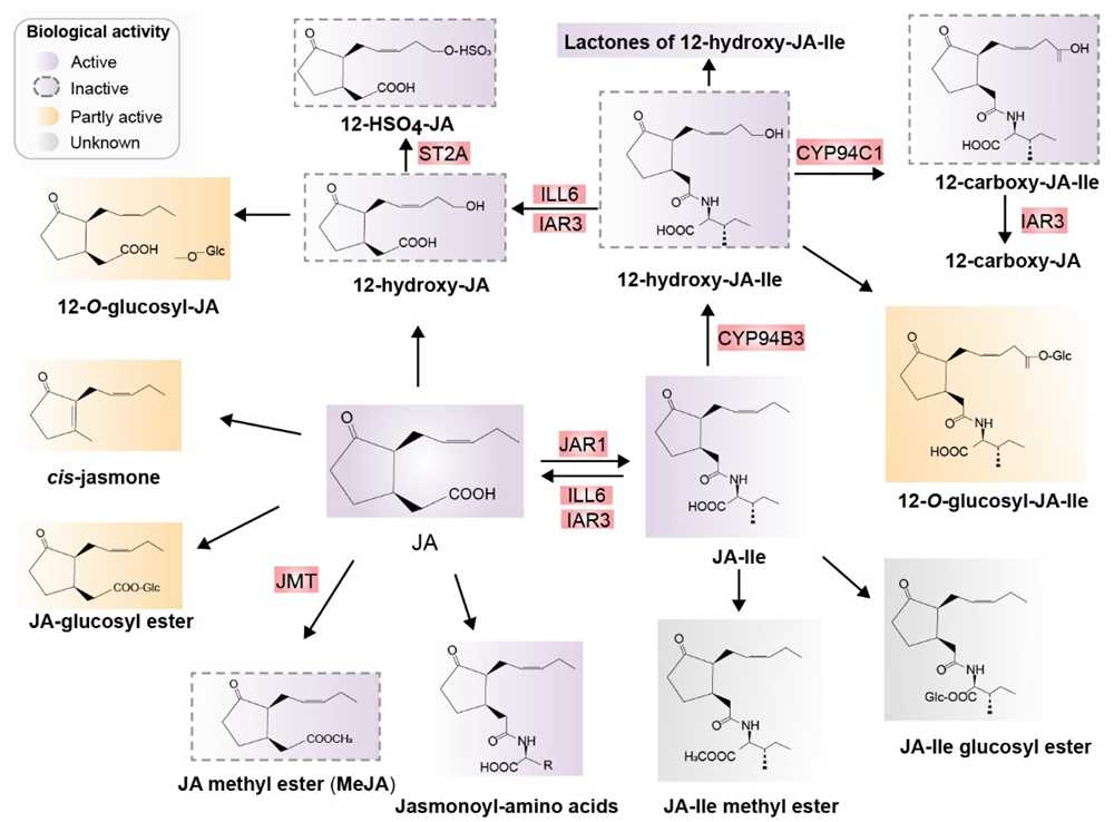 Unraveling the Mysteries of Polyprotic Acids: A Comprehensive Guide to ...