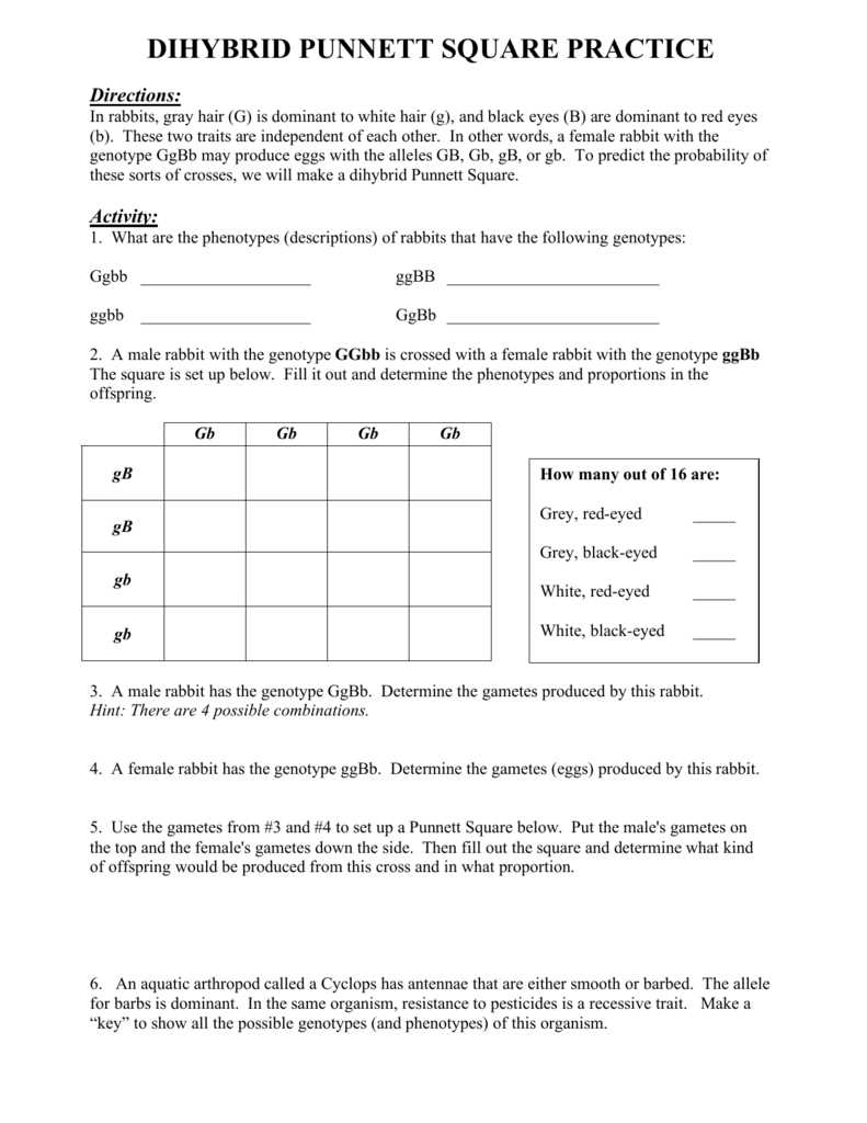 Common misconceptions about dihybrid crosses