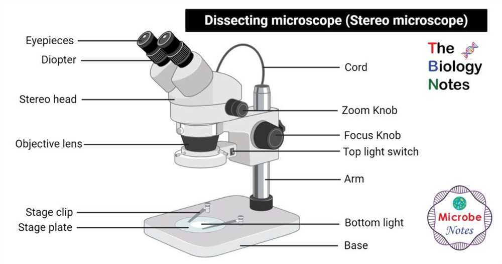 Virtual microscope by bionetwork answers