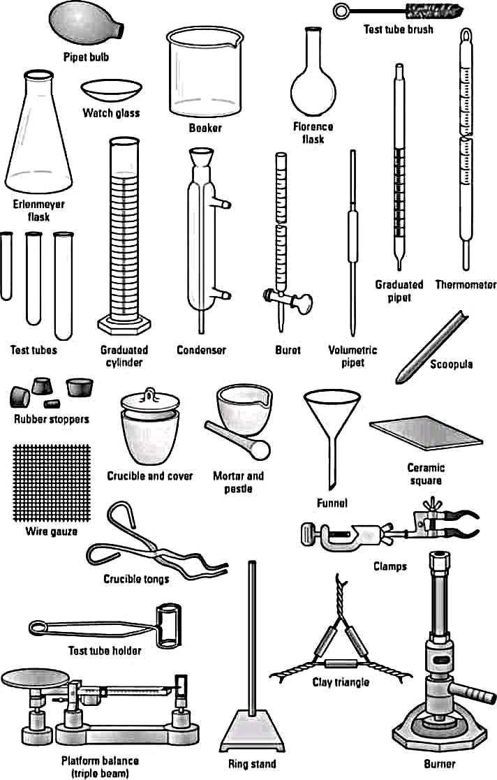 2. Chemical Safety Data Sheets (SDS):