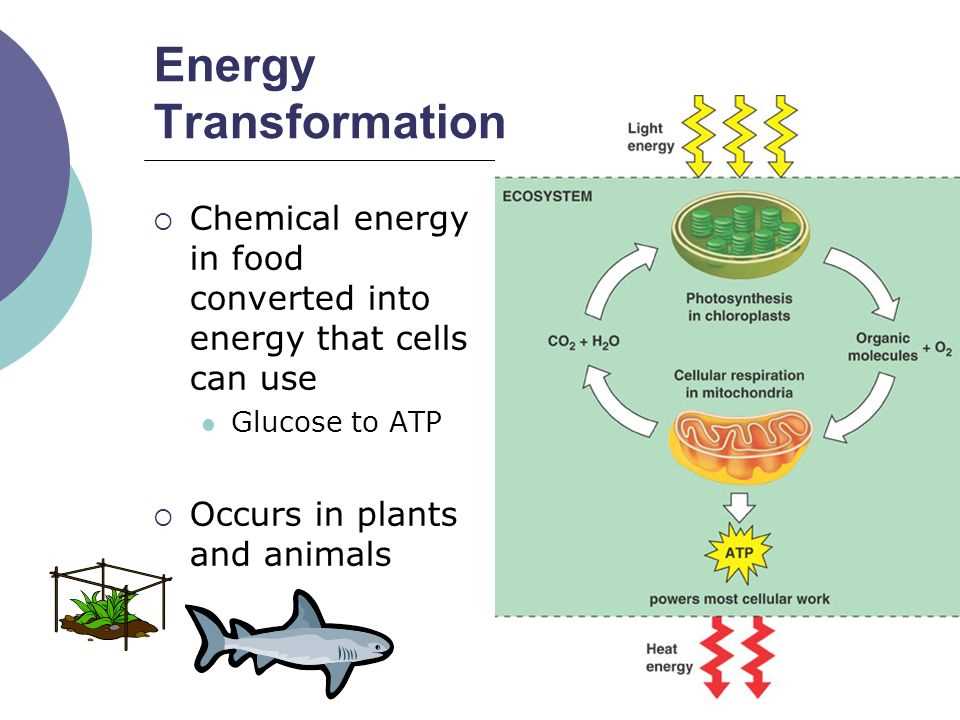 Energy and energy transformations review answer key