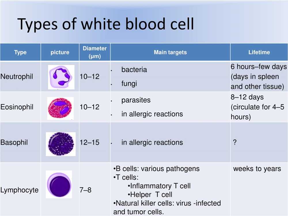 uncovering-the-answers-human-blood-cell-typing-pogil-explained