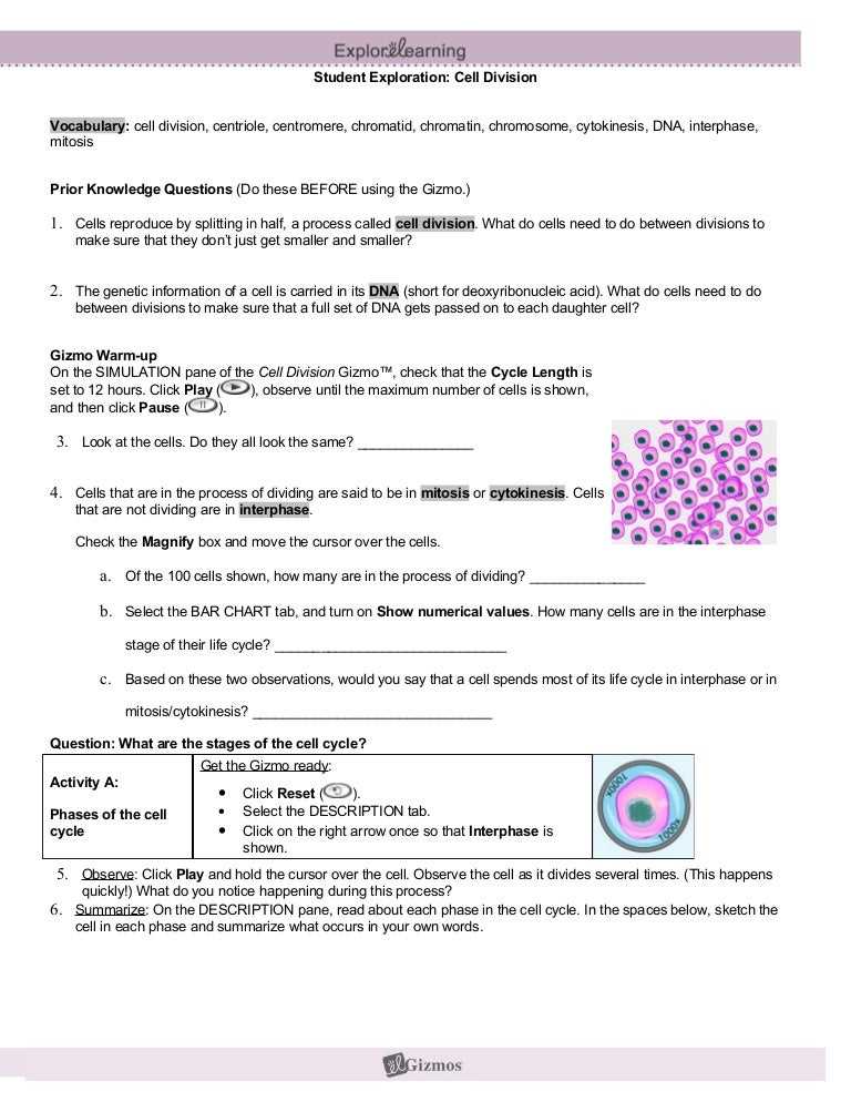 Student exploration cell types answer key