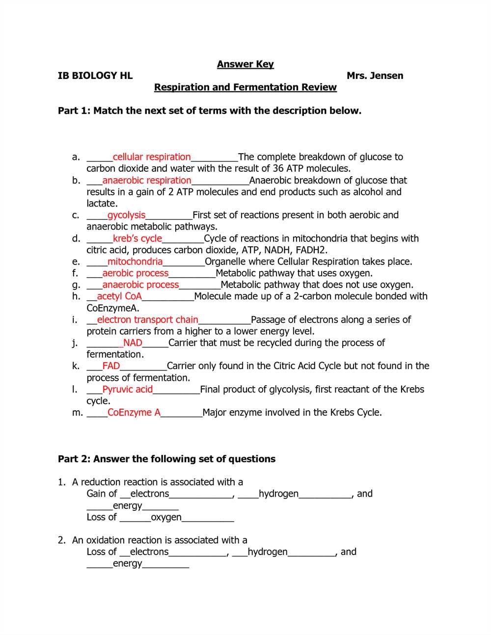 Macromolecule matching worksheet answers