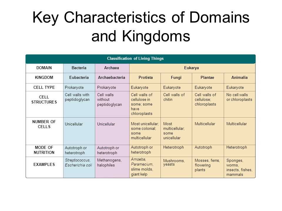 The Ultimate Guide to Domains and Kingdoms: Answer Key Revealed