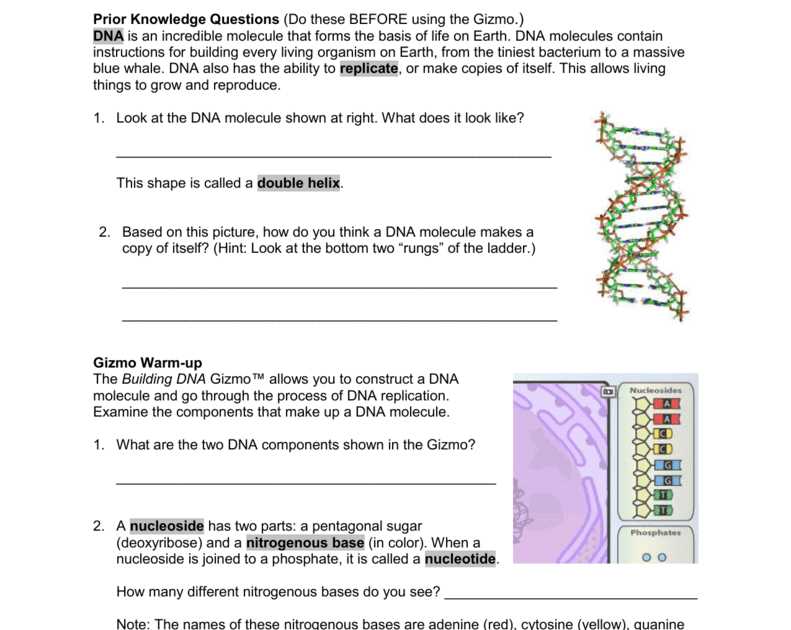 4. Can the Mutation and Selection Gizmo Answer Key be accessed online?