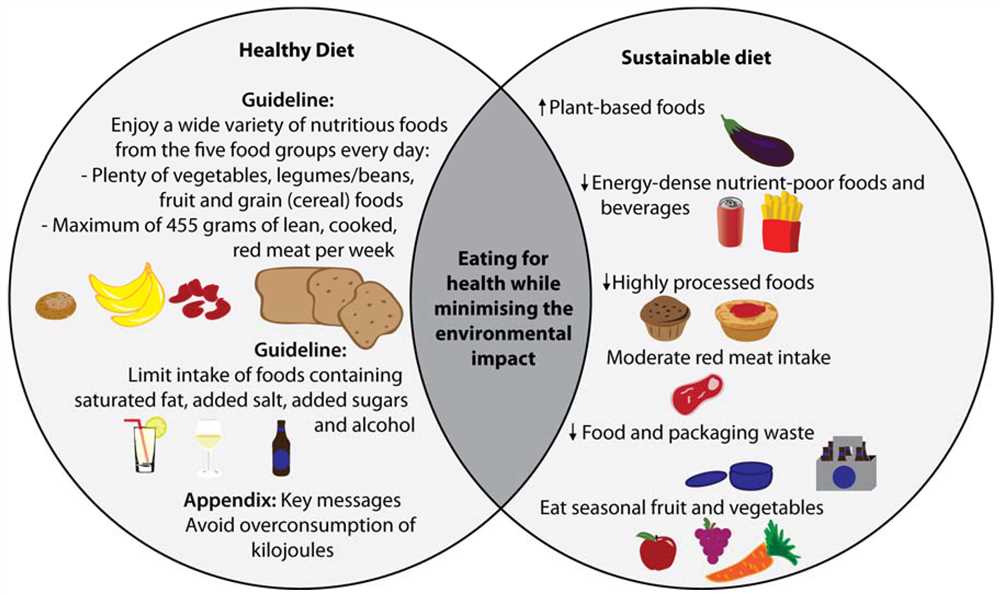 Foods Rich in Antioxidants