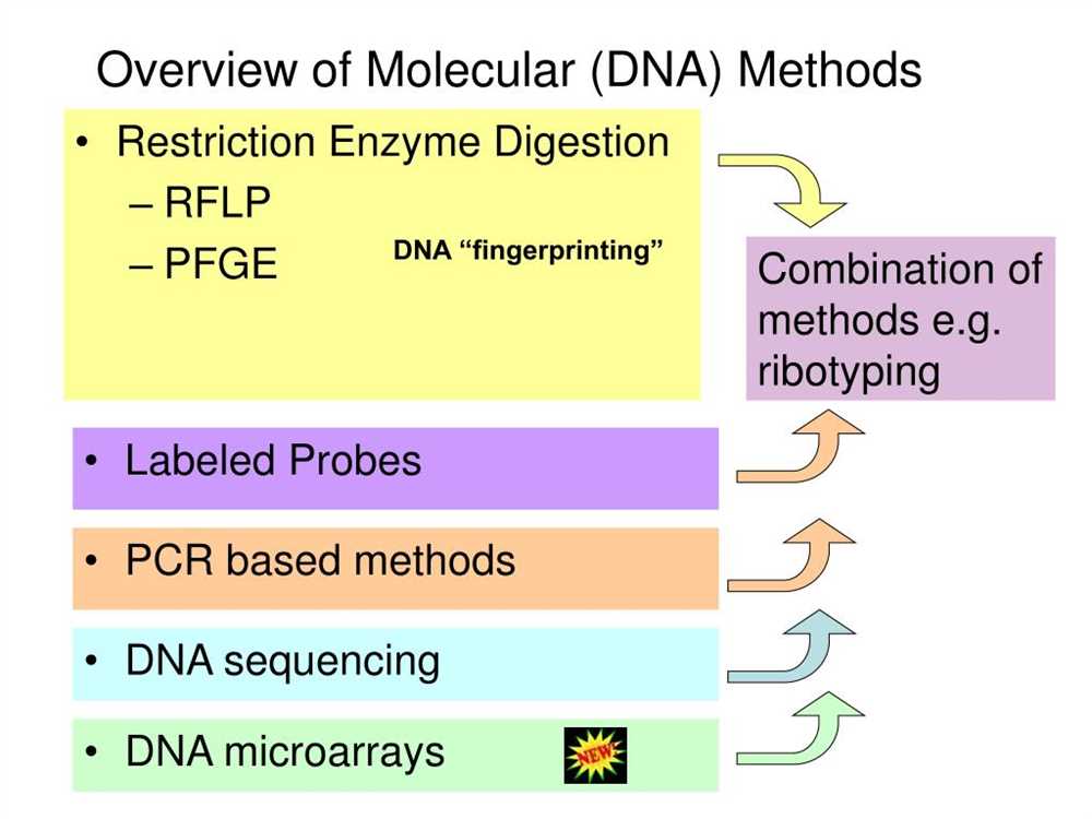 Steps of Restriction Enzyme Analysis: