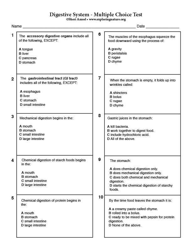 Treatment Options for Respiratory Disorders