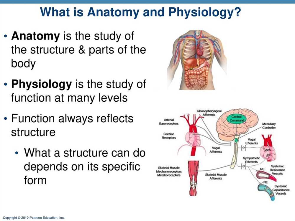 Study Guide: