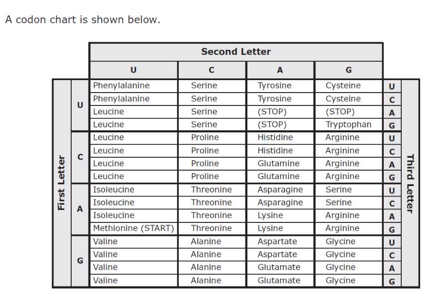 Evaluating Performance and Identifying Gaps